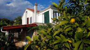 Apartment Tanja, Supetar